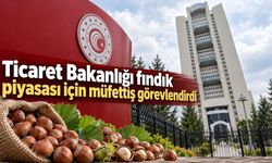 Ticaret Bakanlığı fındık piyasası için müfettiş görevlendirdi