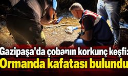 Gazipaşa'da çobanın korkunç keşfi: Ormanda kafatası bulundu