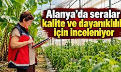 Alanya’da seralar kalite ve dayanıklılık için inceleniyor