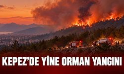 Antalya Kepez’de orman yangını: Bölgeden ilk bilgiler geldi