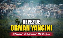 Antalya Kepez'de orman yangını: Hava ve kara ekipleri müdahalede