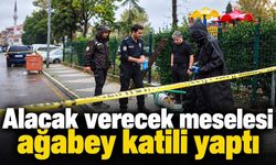Alacak verecek meselesi ağabey katili yaptı