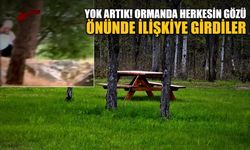 Yok artık! Ormanda herkesin gözü önünde ilişkiye girdiler