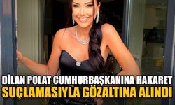 Dilan Polat Cumhurbaşkanına hakaret suçlamasıyla gözaltına alındı