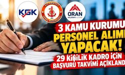 3 kamu kurumu personel alımı yapacak! 29 kişilik kadro için başvuru takvimi açıklandı