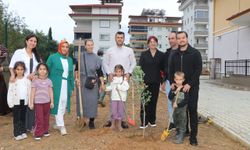 Alanya’da minik eller geleceğe umut ekti: Zeytin fidanları toprakla buluştu
