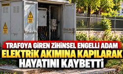 Trafoya giren 74 yaşındaki adam hayatını kaybetti