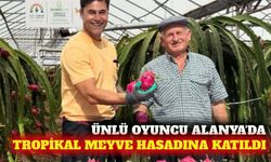 Kıvanç Kasabalı Alanya'da tropikal meyve hasadına katıldı