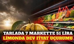 Üreticide 7 lira olan limon markette 51 liraya satılıyor