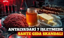 Antalya'da 7 işletme bakanlığın hileli gıda listesine girdi