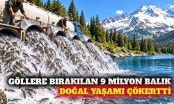 Göllere bırakılan 9 milyon balık ekosistemi bozdu