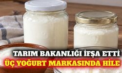 Tarım Bakanlığı üç yoğurt markasında hile tespit etti