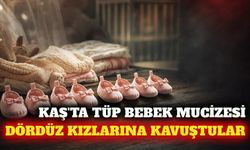 Kaş'ta tüp bebek tedavisiyle dördüz kız bebek dünyaya geldi