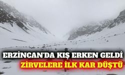 Erzincan'da yüksek kesimlere ekim ayında ilk kar düştü