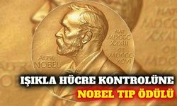 2026 Nobel Tıp Ödülü optogenetik keşfiyle üç isme verildi