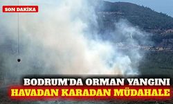 Bodrum'daki orman yangınına müdahale sürüyor