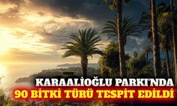 Antalya Karaalioğlu Parkı'nda 90 bitki türü tespit edildi