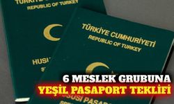 Altı meslek grubu için yeşil pasaport teklifi komisyonda