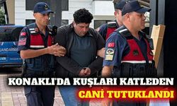 Alanya Konaklı'da kuşları öldüren Yusufcan Turay tutuklandı