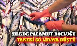 Şile'de palamut bolluğu: Tane fiyatı 50 liraya kadar düştü