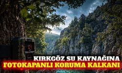 Antalya Kırkgöz su kaynağı fotokapanla izlenecek
