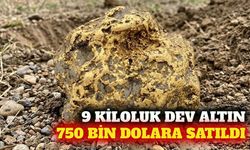 Alaska'daki 9 kiloluk altın külçesi 750 bin dolara satıldı