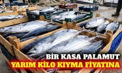 Bir kasa palamut yarım kilo kıyma fiyatına geriledi