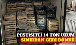 Pestisitli 14 ton üzüm Bulgaristan sınırından döndü