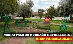 Muratpaşa'da kurbağa heykelleri tahrip edildi
