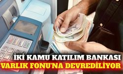 İki kamu katılım bankasının TVF'ye devir süreci başladı