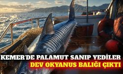 Kemer'de palamut sanıp yedikleri balık okyanus türü çıktı