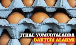 İngiltere'de Ukrayna menşeli yumurtalar toplatılıyor