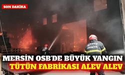 Mersin OSB'de tütün işleme tesisinde yangın
