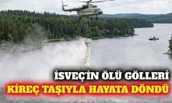 İsveç'te asitlenen göller kireç taşıyla kurtarıldı