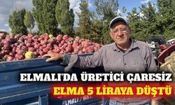 Elmalı'da elma fiyatı 5 liraya düştü, üretici çaresiz