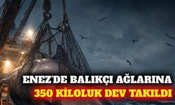 Enez'de 350 kiloluk boz camgöz köpek balığı yakalandı