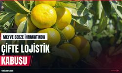 Yaş meyve sebze ihracatında çifte lojistik krizi