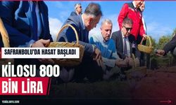 Safranbolu'da safran hasadı başladı: Kilosu 800 bin lira
