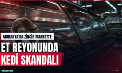 Mudanya'da zincir marketin et reyonuna kedi girdi