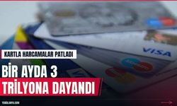 Eylülde kartlı ödemeler 3 trilyon liraya dayandı