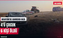 Mardin'de otomobil kanala devrildi: 4'ü çocuk 6 kişi öldü