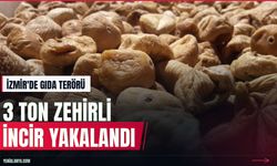 İzmir'de kimyasalla beyazlatılmış 3 ton incir ele geçirildi