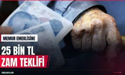 Memur emeklilerine 25 bin TL seyyanen zam teklifi Meclis'te
