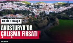 Avusturya 150 bin TL maaşla lojistik personeli arıyor
