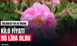 Gülbirlik'ten üreticiye ek ödeme: Fiyat 95 lira oldu