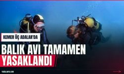 Kemer Üç Adalar'da deniz ekosistemi yeniden canlanıyor
