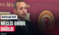 DEVA Partisi'nde istifa: Meclis'te Yeni Yol Grubu dağıldı