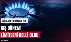 Doğalgazda kasım ve aralık ayı tüketim sınırları belli oldu