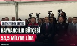 Hayvancılık desteği 54,5 milyar liraya yükseliyor