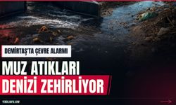 Demirtaş'ta çevre alarmı: Muz tesisi atıkları denizi tehdit ediyor
